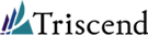 Triscend logo.